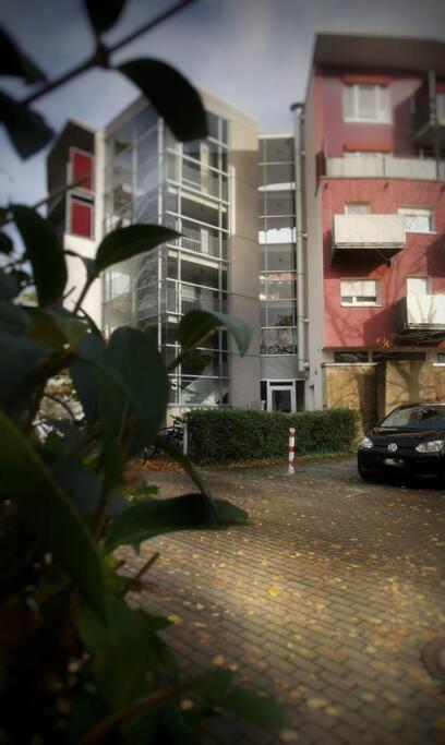 Schoenes Apt In Zentraler Lage 弗赖堡 外观 照片